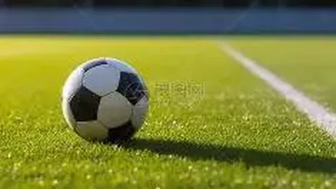 上港亚冠遇险境：角逐死亡之组，赛程挑战重重